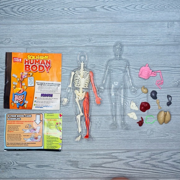 smart labs Toys Smart Lab Toys Squishy Human Body Model Book W